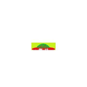 Zhenxing food co., ltd.