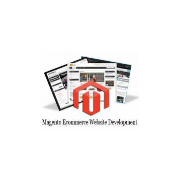 Ecommerce Website Development