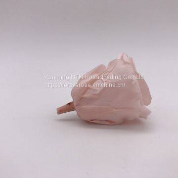 Preserved Rose Flowers for Wedding Decoration Flower Arrangement photo-4