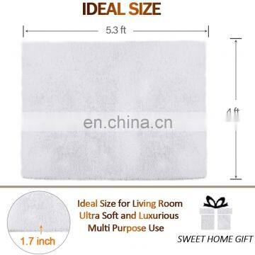 Super Soft Modern Shag Area Rugs Fluffy Living Room Carpet White Fur Carpet Rug photo-2