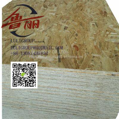 Luligroup Osb5 photo-4