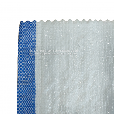 Moisture Proof 10kg 20kg 50 kg Paper-plastic Compound pp Woven Bag Moisture Proof With Short Delivery Time photo-5