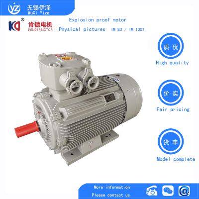 YBX4 Three-phase Asynchronous Explosion-proof Motor photo-3
