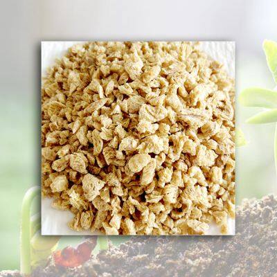 TVP Bulk Textured Vegetable Protein (TVP) for Cooking Thickener and Chewing Gum Base Vegetarian Soybean