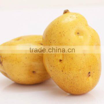 Lifelike Artifical Vegetable For Decoration