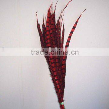 Dyed Lady Amherst Pheasant Tails