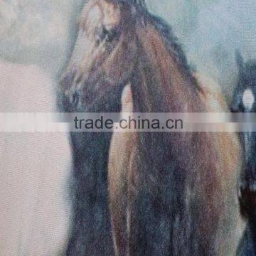 New Fashion Horse Design Printing Cotton Knit Fabric for t Shirt Clothing photo-3