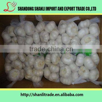Fresh Jin Xiang Brand Pure White Garlic Powder/fresh Garlic/chinese Garlic Price photo-4