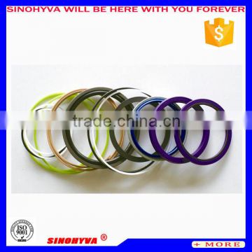 Metric hydraulic seals, hydraulic cylinder seal kits China supplier.