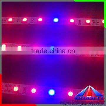 DC12V 300 leds/5m Plant LED Grow Light Strip