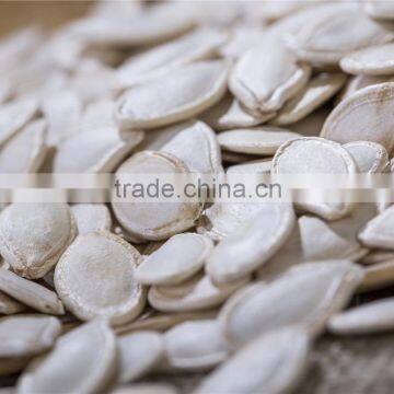Dalian East Dawn Shine Skin Pumpkin Seeds Suppliers photo-2