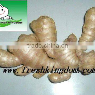 Best quality fresh ginger