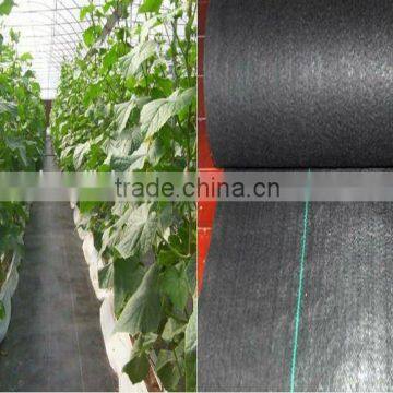 Anti-UV PP woven agricultural weed mat