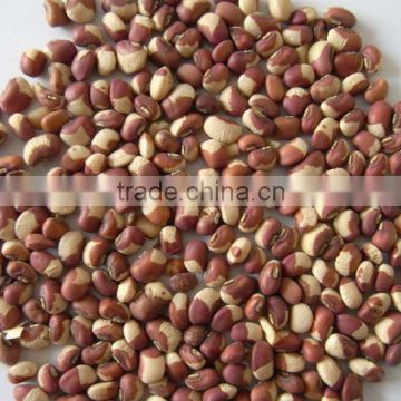 chinese red kidney beans