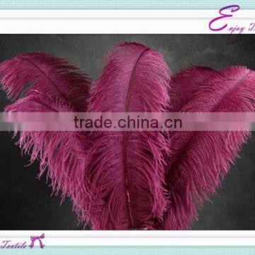 YHF#05 ostrich feather for events wedding party decoration