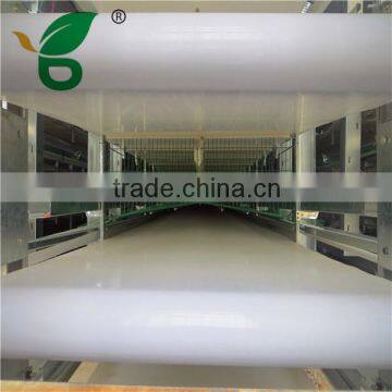 automatic manure removal system for poultry house