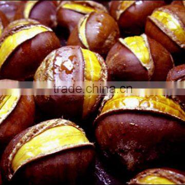 Bulk High Quality Fresh Green Dandong Chestnuts for Sale photo-2