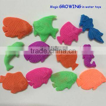 Growing in water toy fish