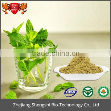 The High quality Organic Pure Natural Mint herbal Leaf Extract powder