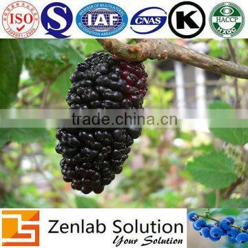 mulberry fruit extract, mulberry fruit p.e, mulberry fruit powder