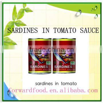 best canned sardine in tomato sauce