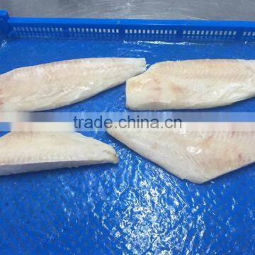 Frozen brama brama fillet boneless top quality