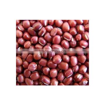 China adzuki bean