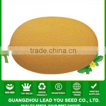 NSM04 Hatian hybrid vegetable seeds hami melon seeds cantaloupe seeds