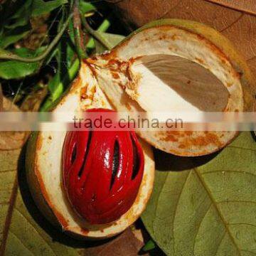 Nutmeg Oil