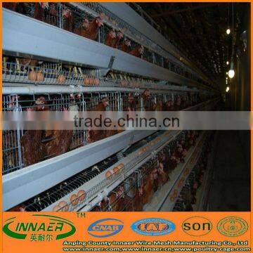 The Lowest Price Chicken Layer Cage for Sale (ISO9001 Manufacturer:sell12@innaer.cn 0086-18731182613) photo-3