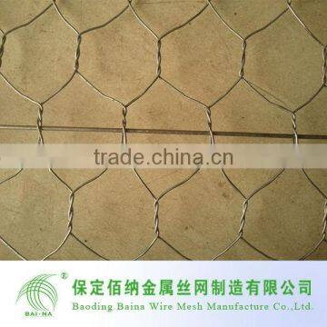 Hex steel net/hex mesh