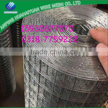 Galvanized welded iron wire mesh welded wire netting