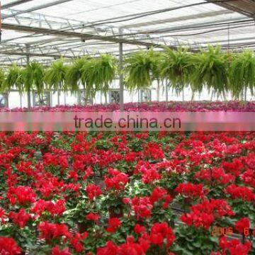 Greenhouse Plans photo-2