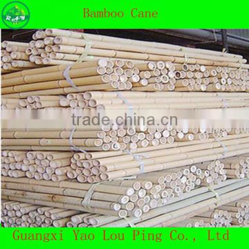 China River Fence Bamboo Canes