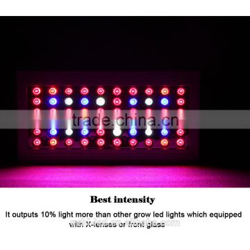 2017 Latest 300w Led Indoor Grow Light photo-4