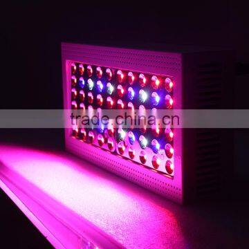 China Wholesale Led Grow Light CXB3590 Led Grow Light With Lowest Price. photo-5