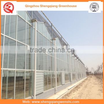 High quality 12m multi-span glass greenhouse grow tent for vegetables