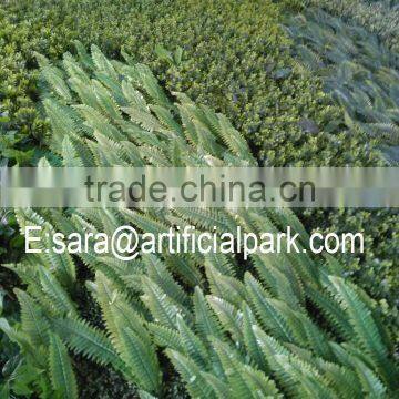 Plastic Garden Walls,vertical Green Wall photo-3