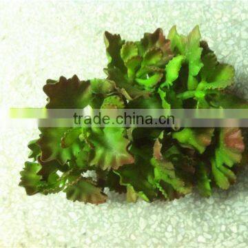 Home and Outdoor Garden Edging Christmas Decoration 60cm or 24inches Height Artificial Small Grass for Green Wall E04 1004 photo-3