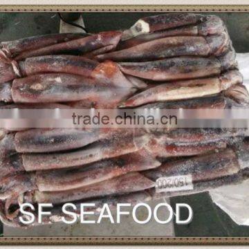 seafood japenese squid