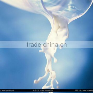 milk powder replacer 26-28%fat