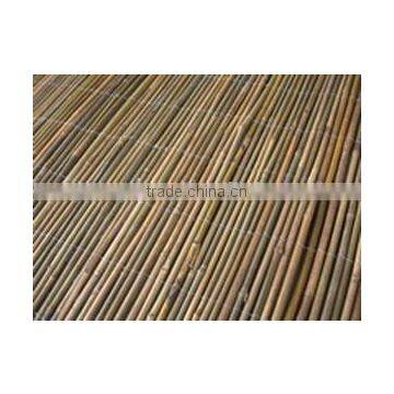 Natural Bamboo Fence Rolls photo-5