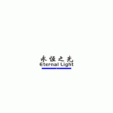 Wenzhou Dongteng Electronic Co., Ltd.