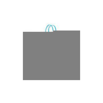 Sell Shopping Bag