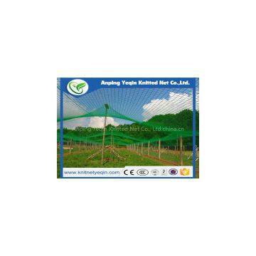 China Manufacturer High Quality Anti Bird Net