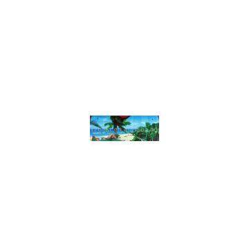 Front Sun Shade(EPE Foam or Bubble + waterproof cloth)