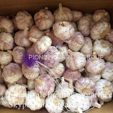 4.5cm 5cm 5.5cm Normal White Garlic Small Packing 1n 10kg Carton Box photo-2