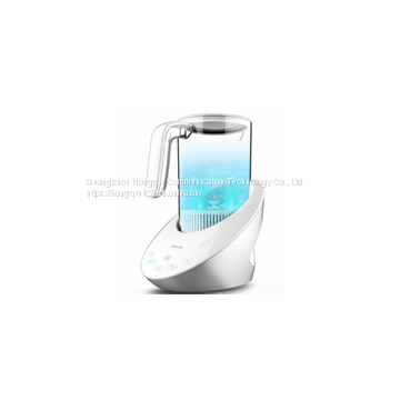 Water purifier