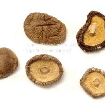 Dried Shiitake Mushroom Wholesale Price