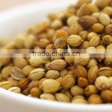 Highest Quality Organic Coriander Seeds Export